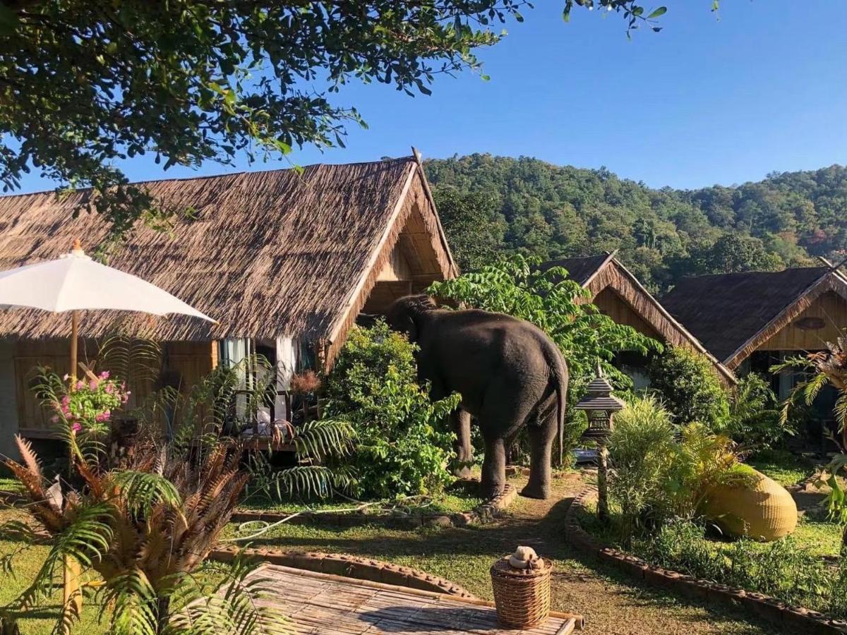 民宿 3 Pok Maewang Jinxiang Gold Elephant Park 湄旺