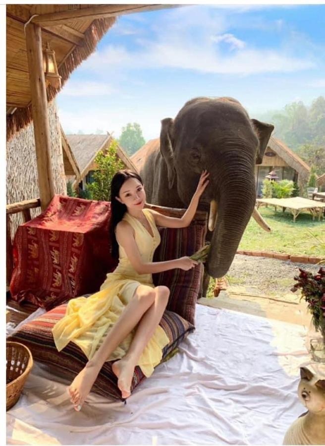 3 Pok Maewang Jinxiang Gold Elephant Park 民宿